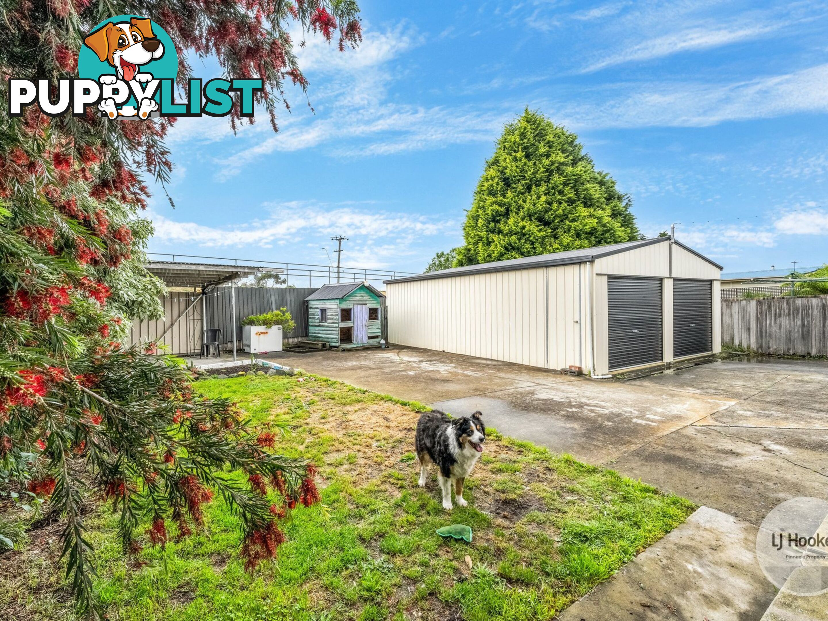 9 Yoora Street BERRIEDALE TAS 7011