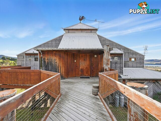 257 Richmond Road CAMBRIDGE TAS 7170