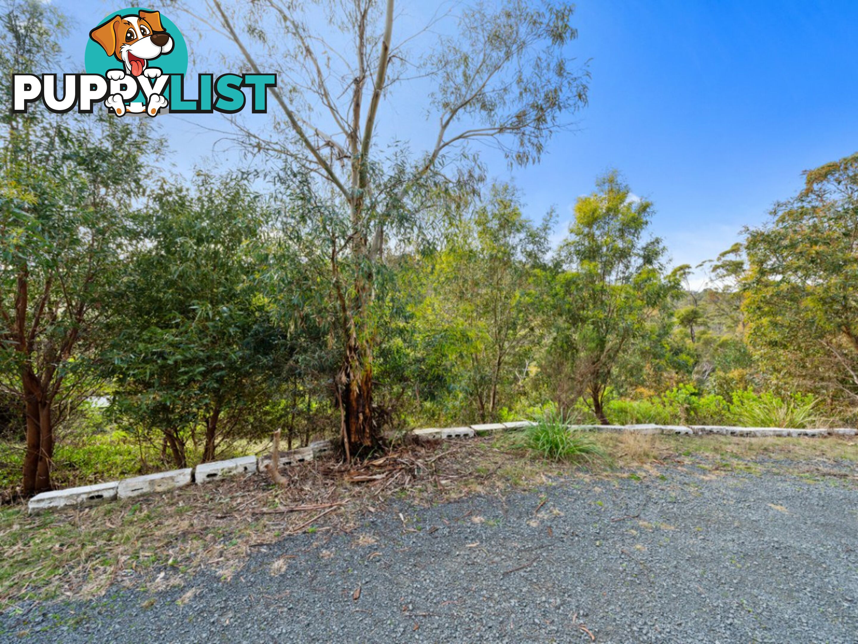 493 Kalang Avenue GLENORCHY TAS 7010