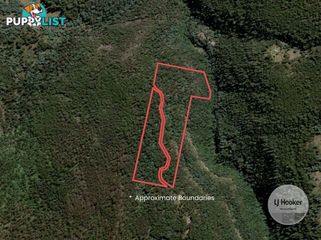 (PID: 5804 White Timber Road LACHLAN TAS 7140