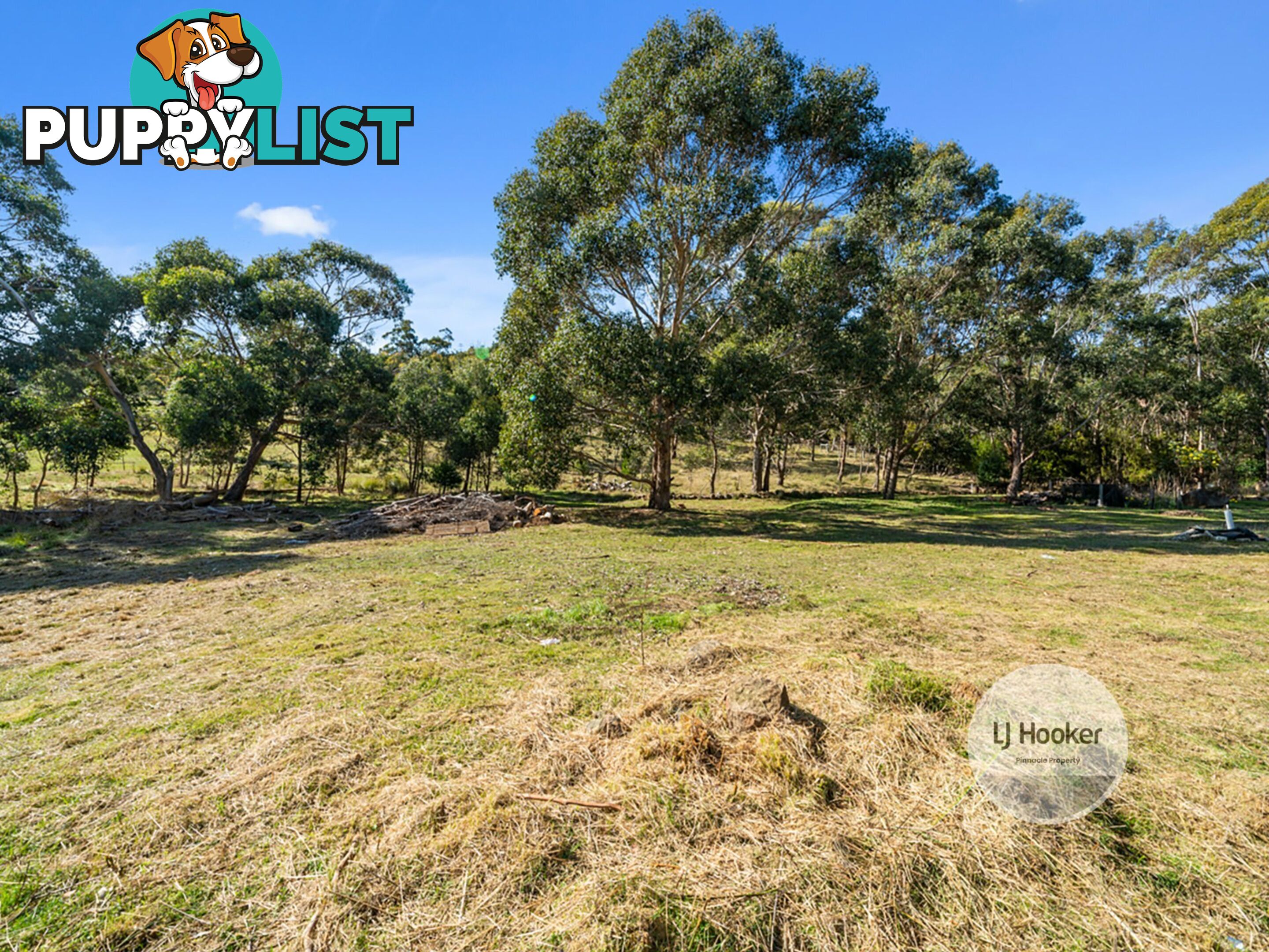 566 Kalang Avenue GLENORCHY TAS 7010
