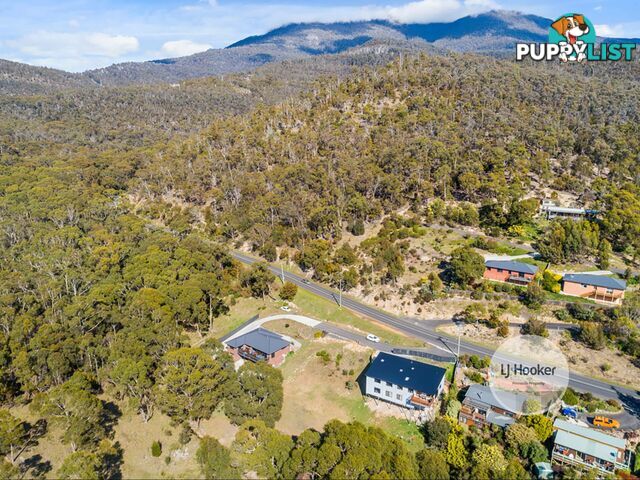 566 Kalang Avenue GLENORCHY TAS 7010
