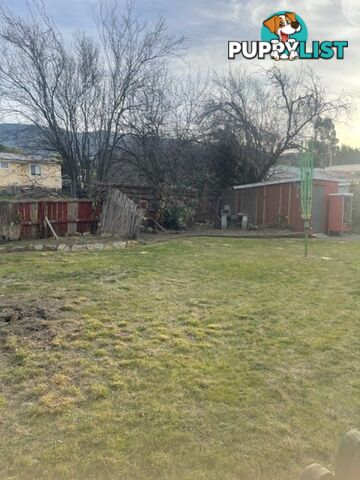 3 Birnam Road CLAREMONT TAS 7011