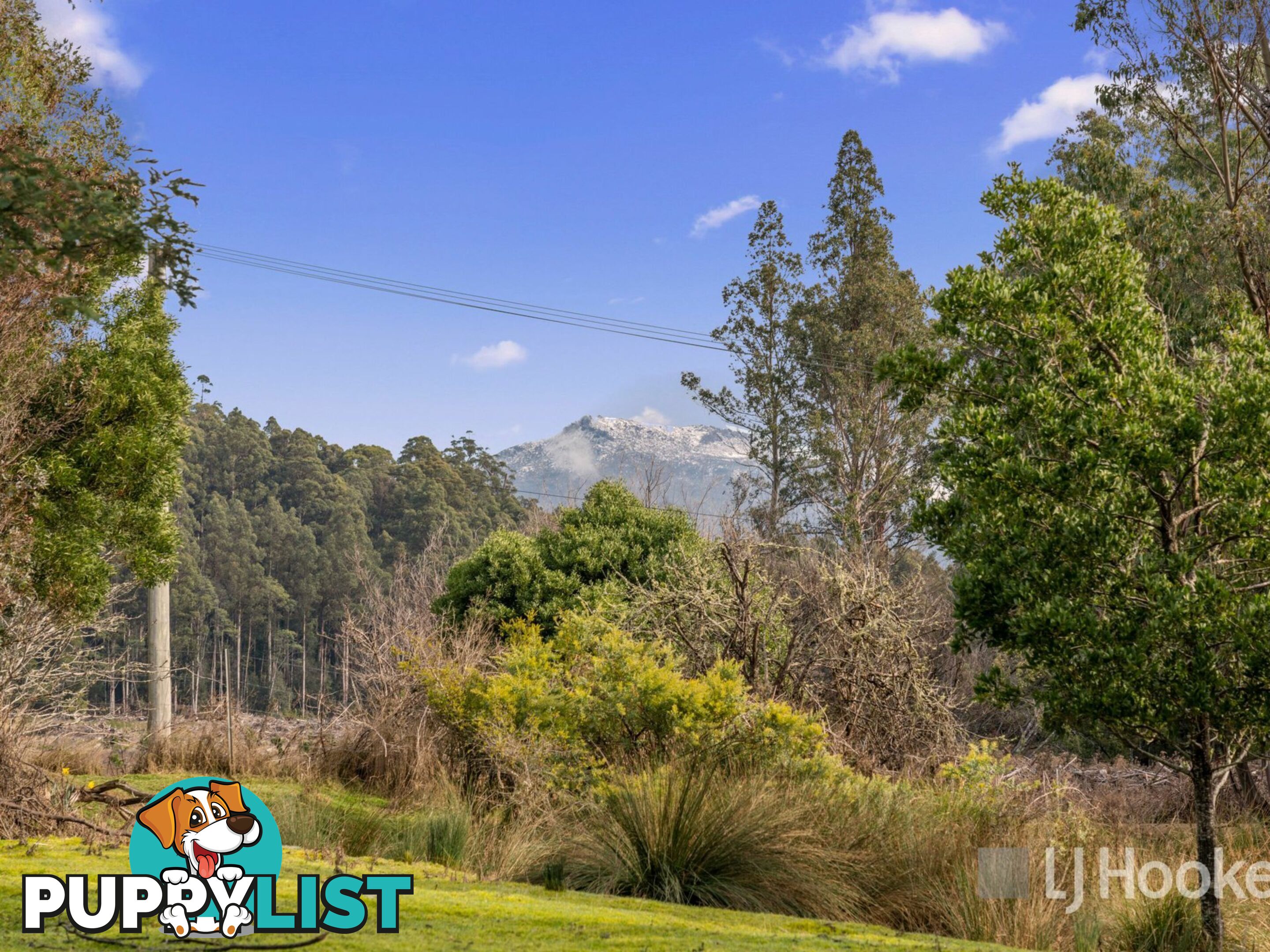 Unit 10/13 Junee Road MAYDENA TAS 7140