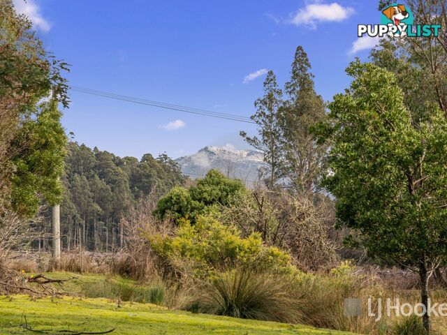 Unit 10/13 Junee Road MAYDENA TAS 7140