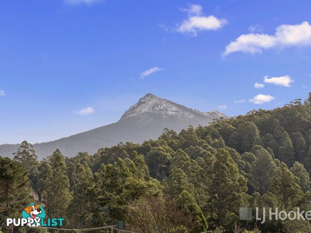 Unit 10/13 Junee Road MAYDENA TAS 7140