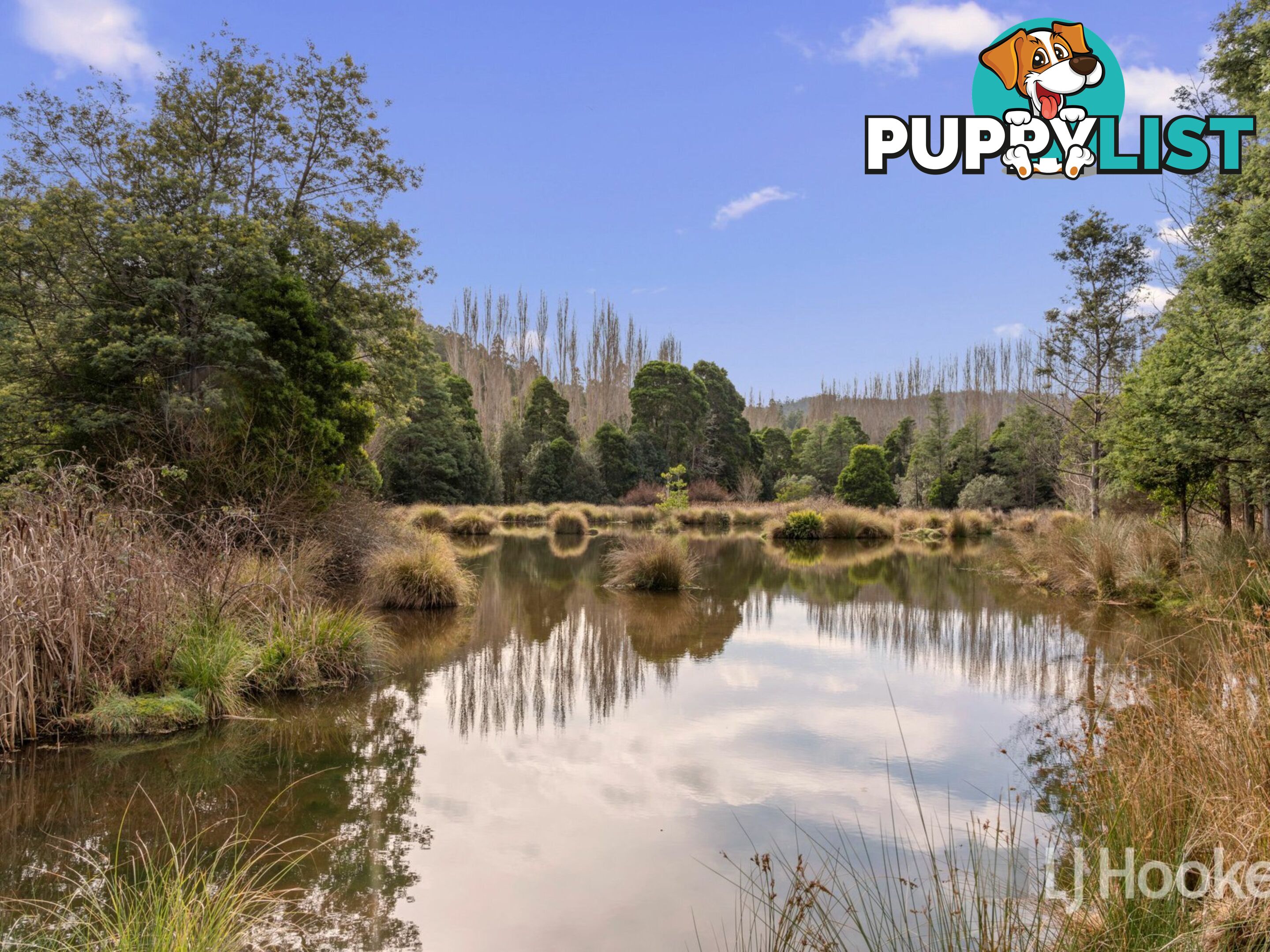 Unit 10/13 Junee Road MAYDENA TAS 7140
