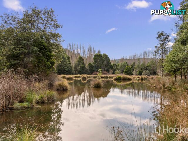Unit 10/13 Junee Road MAYDENA TAS 7140