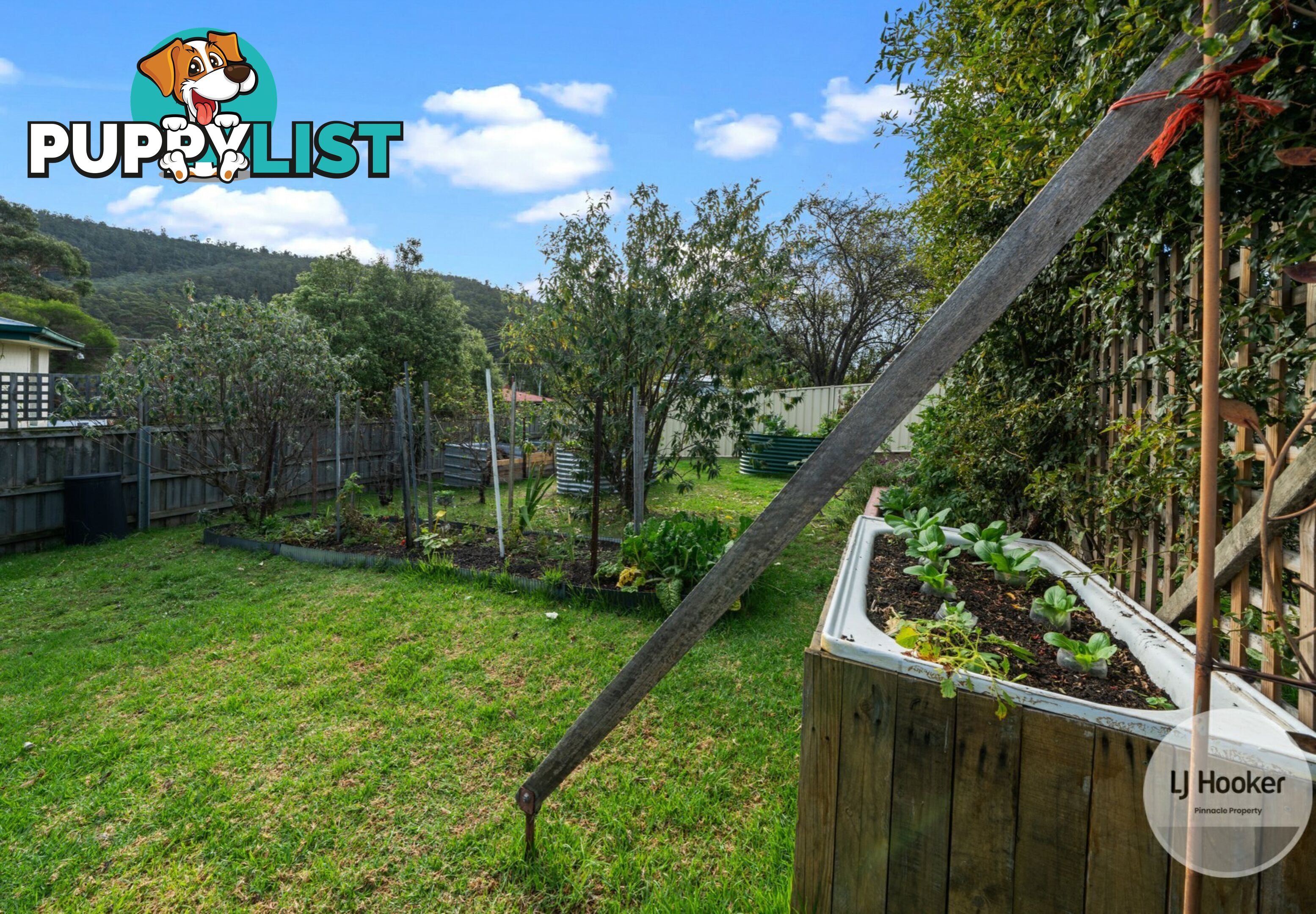 3 Currajong Street MORNINGTON TAS 7018