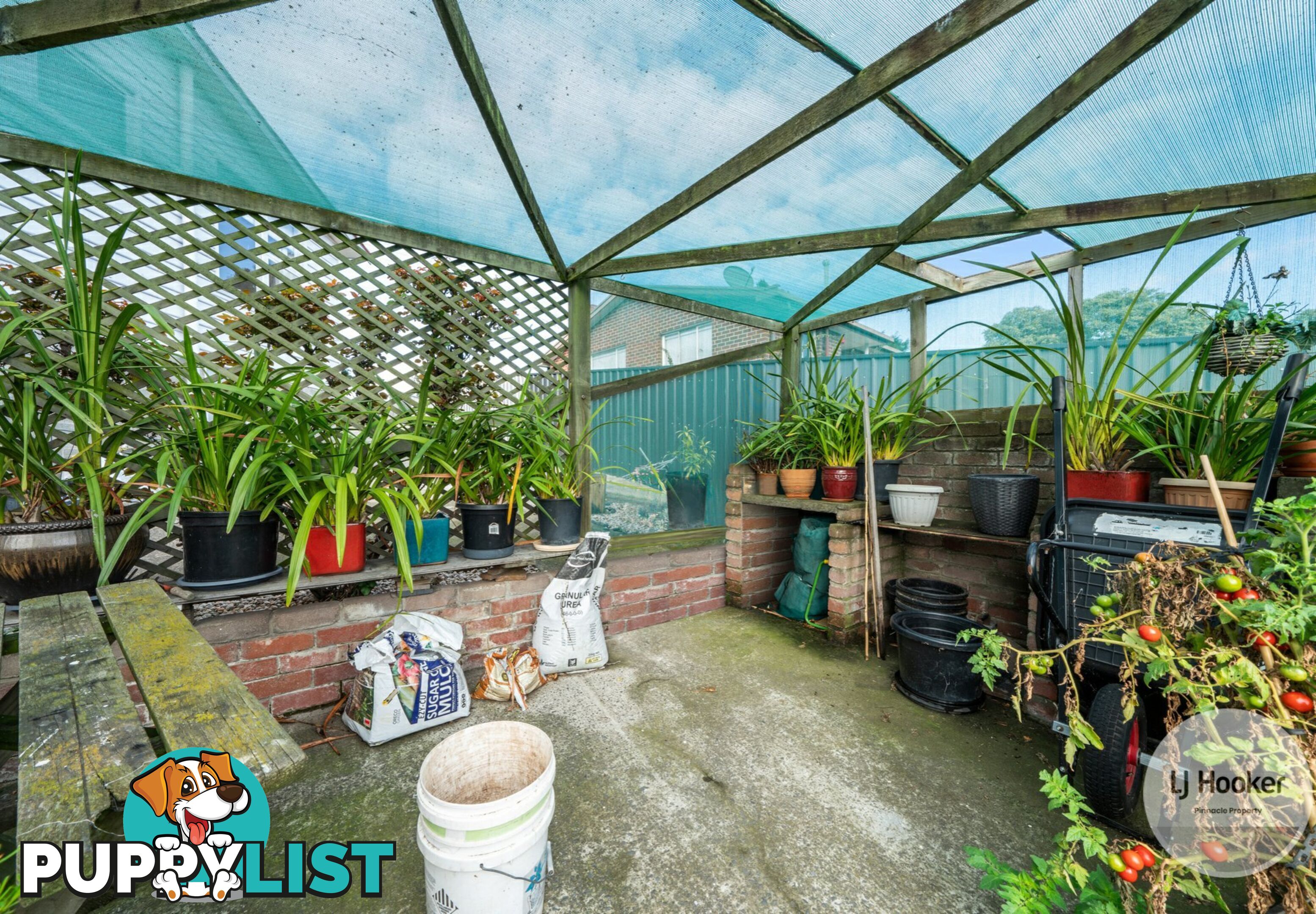 3 Currajong Street MORNINGTON TAS 7018
