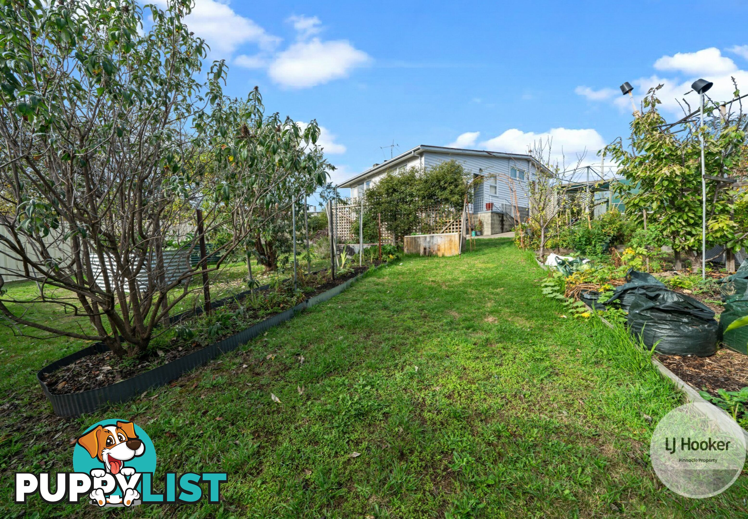 3 Currajong Street MORNINGTON TAS 7018