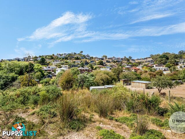 20 Ancanthe Avenue LENAH VALLEY TAS 7008