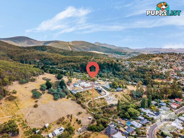 20 Ancanthe Avenue LENAH VALLEY TAS 7008