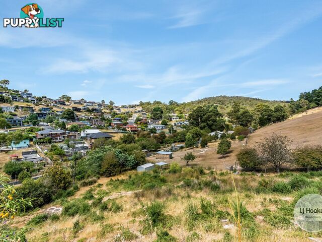 20 Ancanthe Avenue LENAH VALLEY TAS 7008