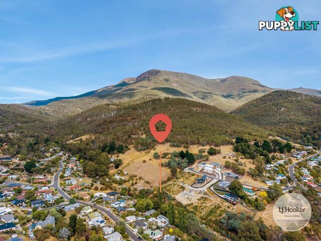 20 Ancanthe Avenue LENAH VALLEY TAS 7008