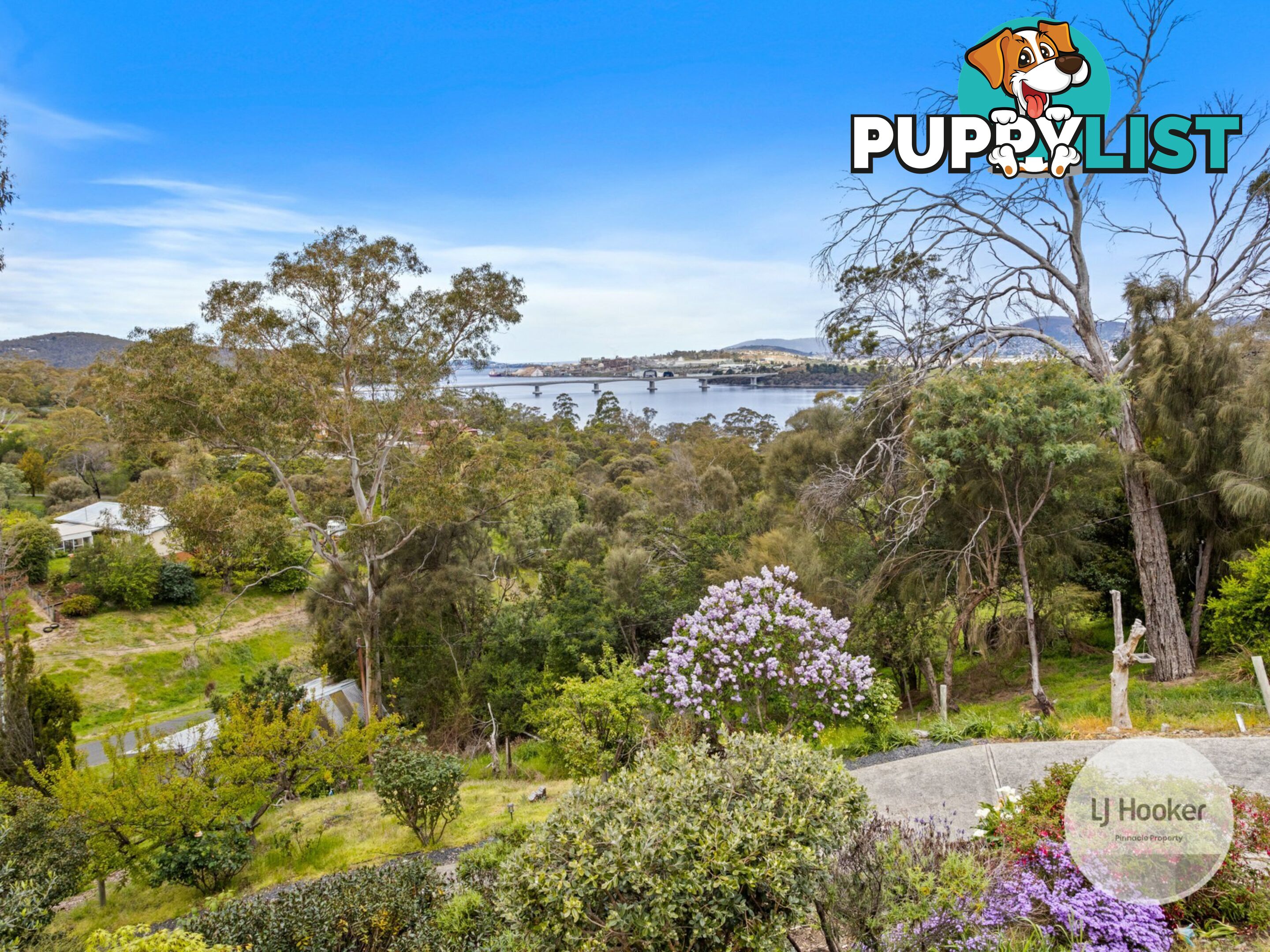 27 Conrad Drive OTAGO TAS 7017