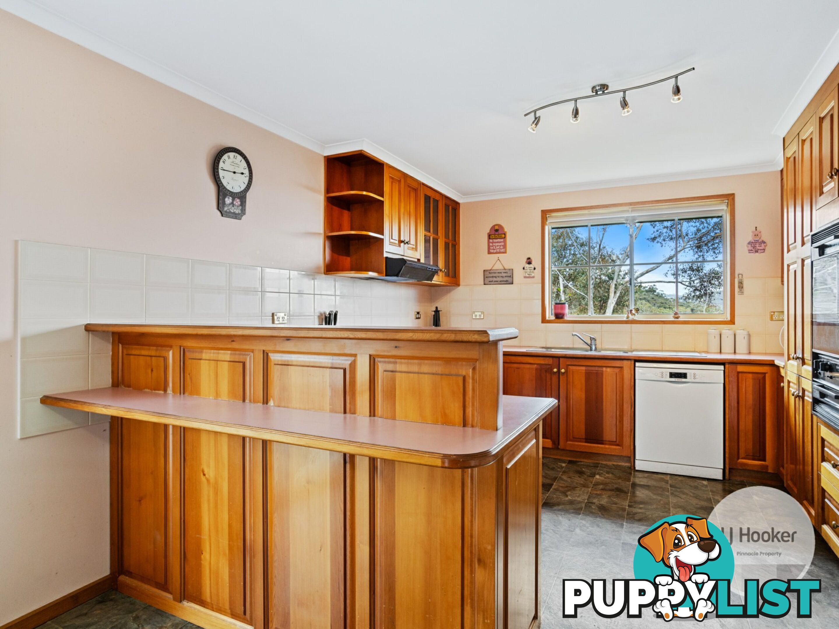 27 Conrad Drive OTAGO TAS 7017