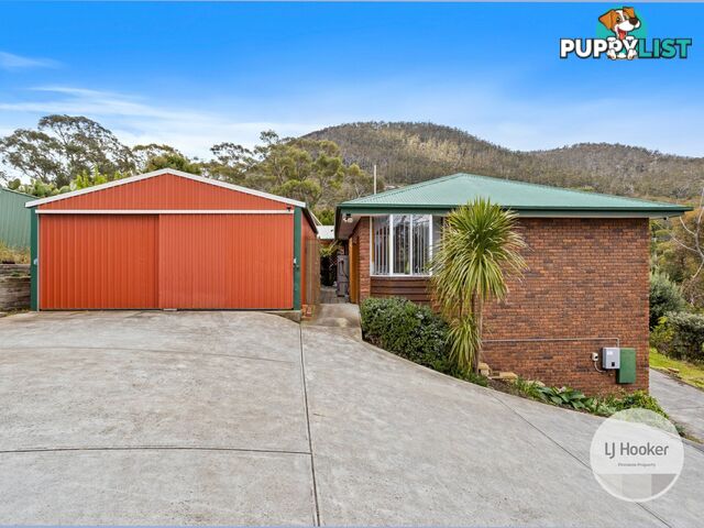 27 Conrad Drive OTAGO TAS 7017