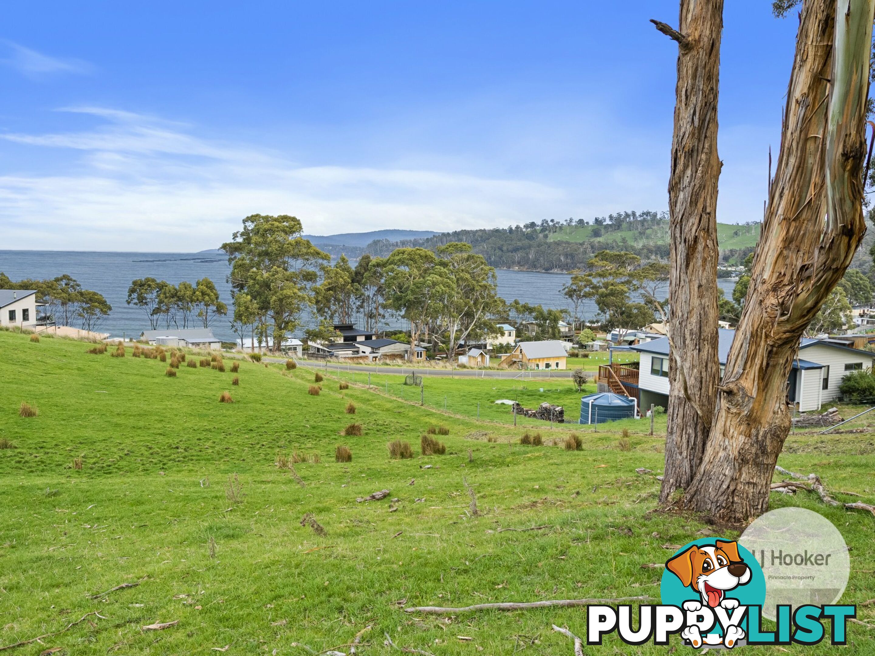 67 Dunn Drive SURVEYORS BAY TAS 7116