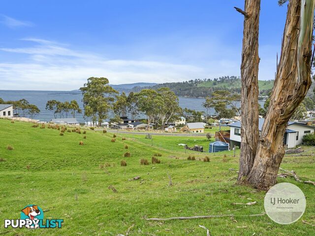 67 Dunn Drive SURVEYORS BAY TAS 7116