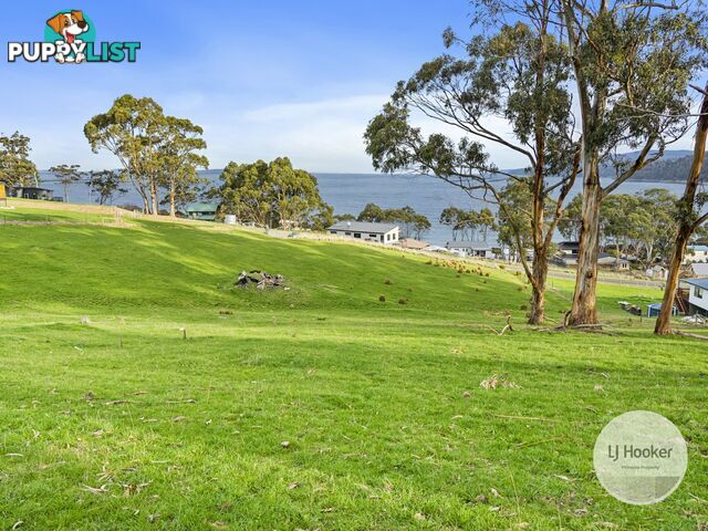 67 Dunn Drive SURVEYORS BAY TAS 7116