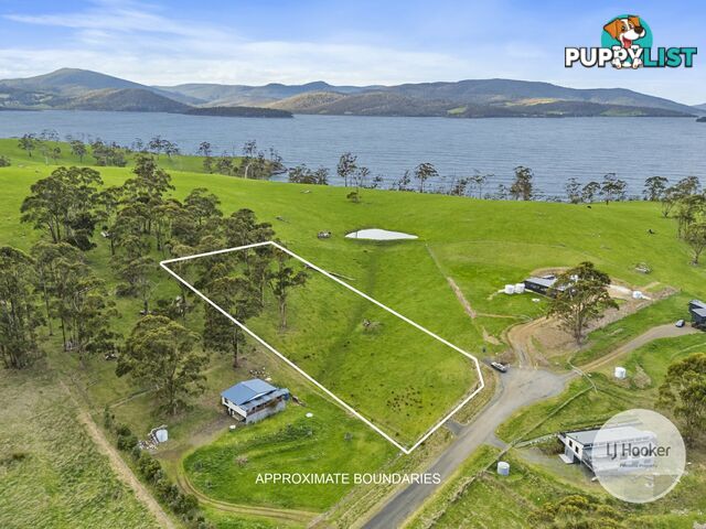 67 Dunn Drive SURVEYORS BAY TAS 7116