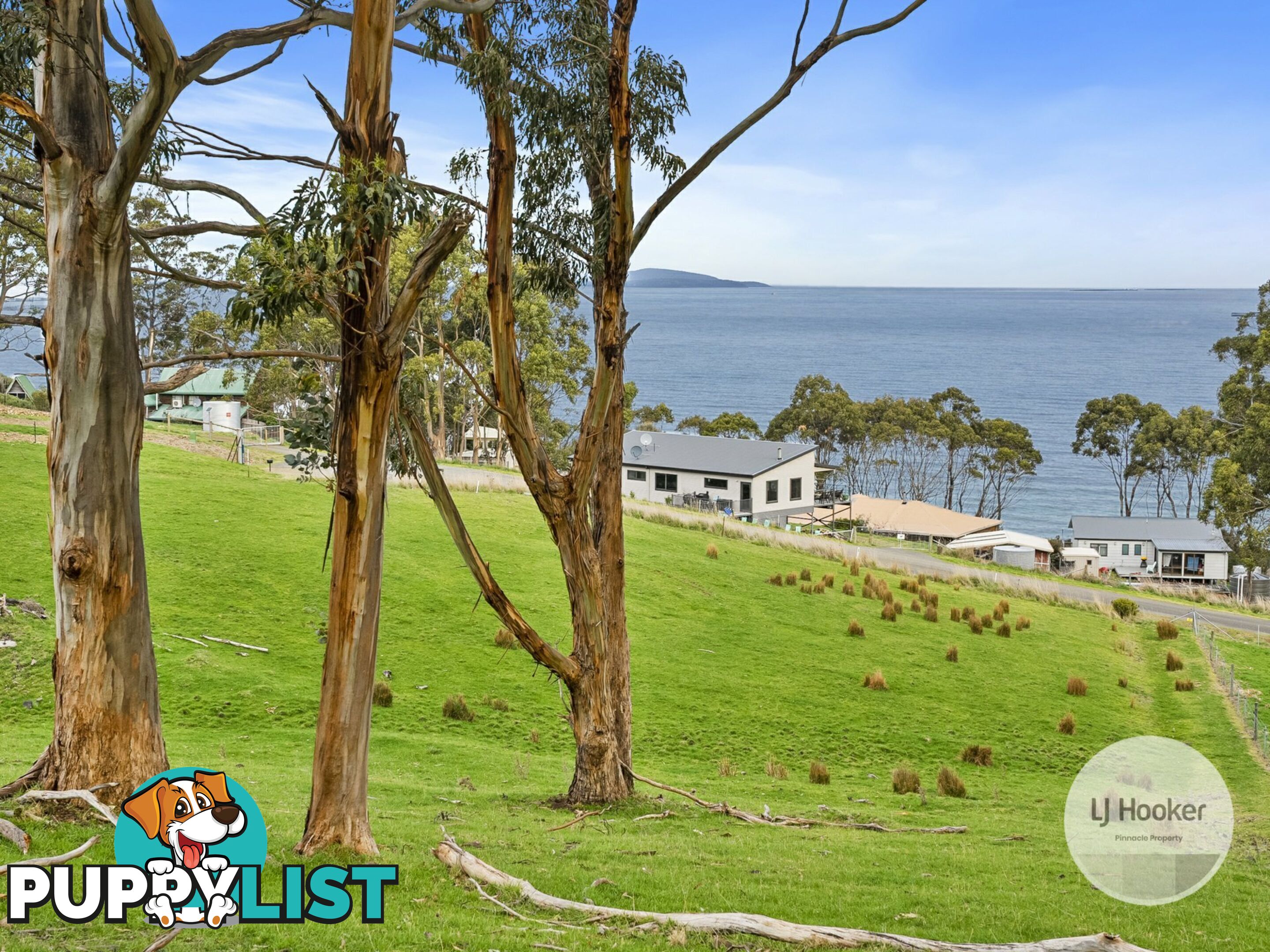 67 Dunn Drive SURVEYORS BAY TAS 7116