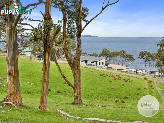 67 Dunn Drive SURVEYORS BAY TAS 7116