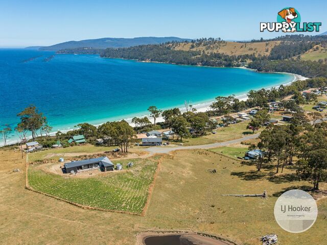 67 Dunn Drive SURVEYORS BAY TAS 7116