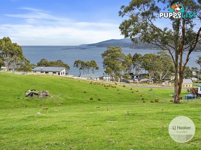 67 Dunn Drive SURVEYORS BAY TAS 7116