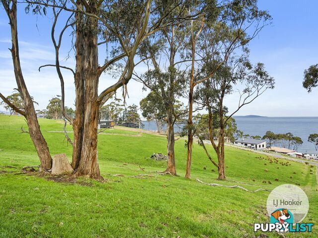 67 Dunn Drive SURVEYORS BAY TAS 7116