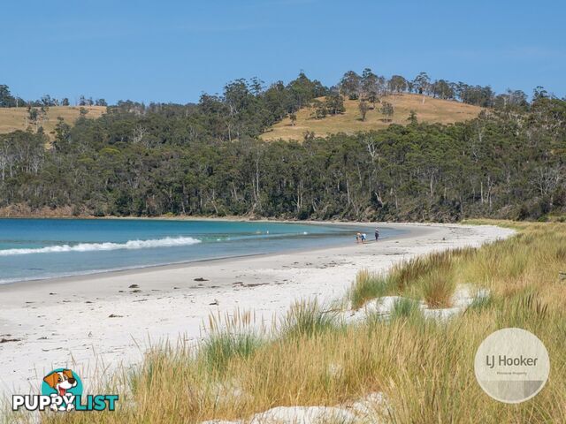 67 Dunn Drive SURVEYORS BAY TAS 7116