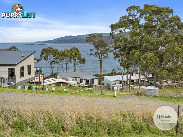 67 Dunn Drive SURVEYORS BAY TAS 7116