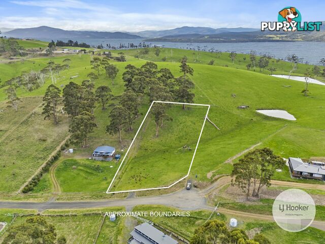 67 Dunn Drive SURVEYORS BAY TAS 7116