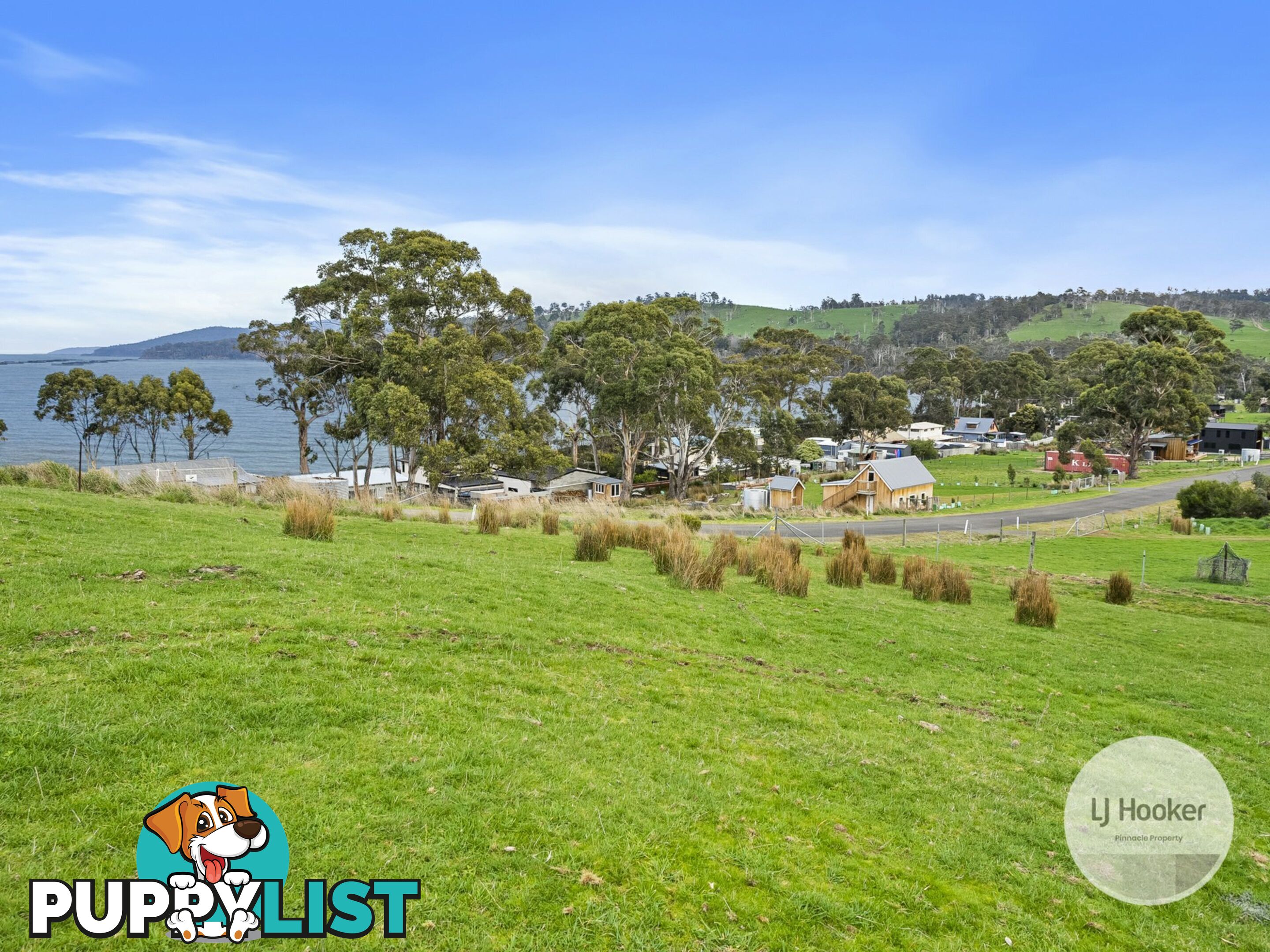 67 Dunn Drive SURVEYORS BAY TAS 7116