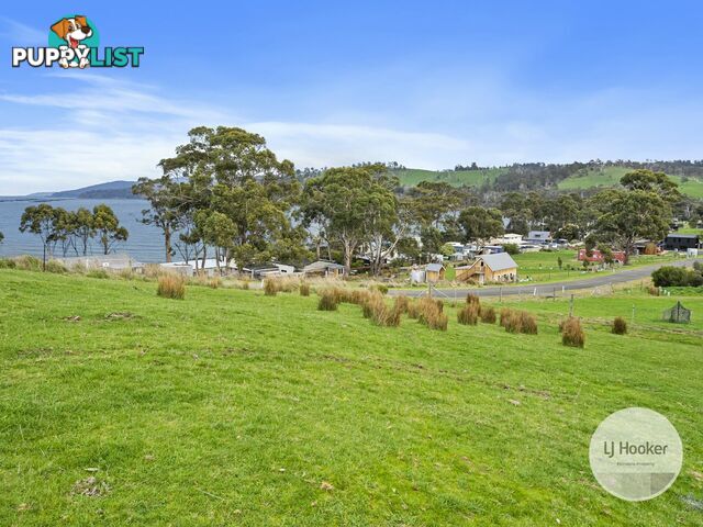 67 Dunn Drive SURVEYORS BAY TAS 7116