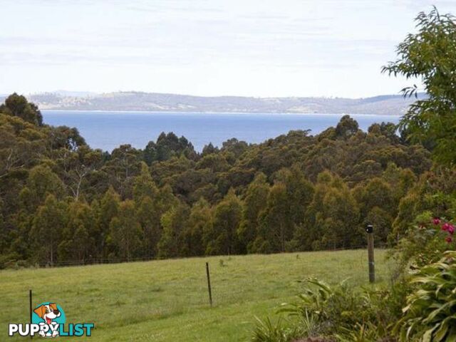 59 Devlyns Road BIRCHS BAY TAS 7162