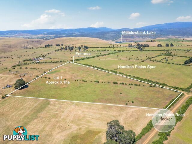 Lot 1 & 2/45 Hamilton Plains Spur HAMILTON TAS 7140