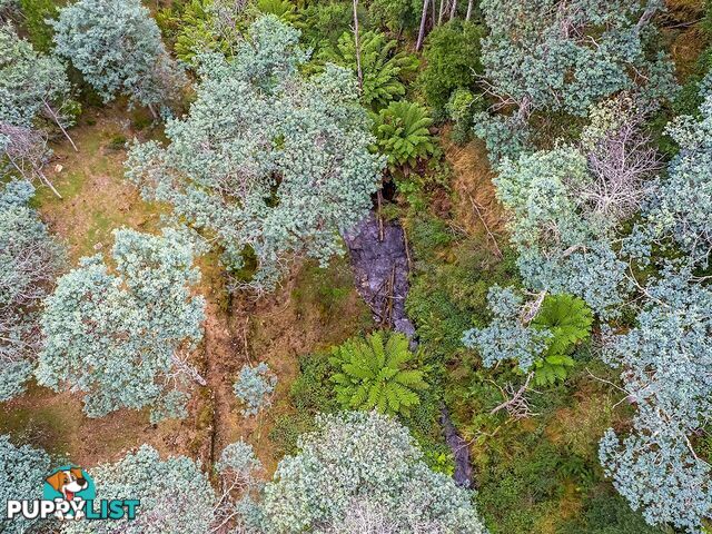 500 Nicholls Rivulet Road OYSTER COVE TAS 7150