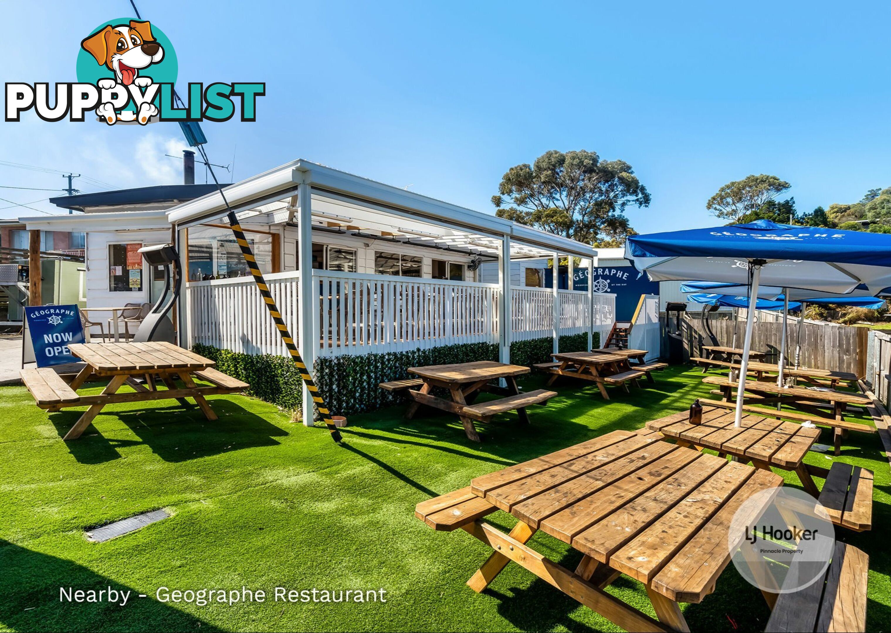 1456 Dolphin Sands Road DOLPHIN SANDS TAS 7190