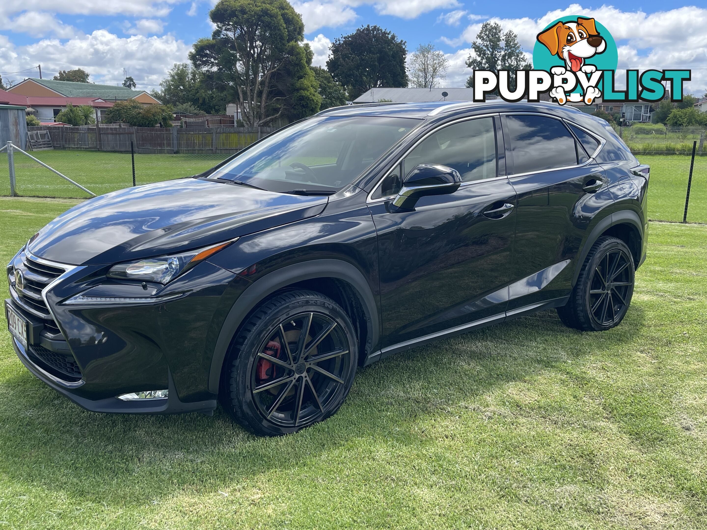 2016 Lexus NX AUTO2WD NX200T Sedan Automatic