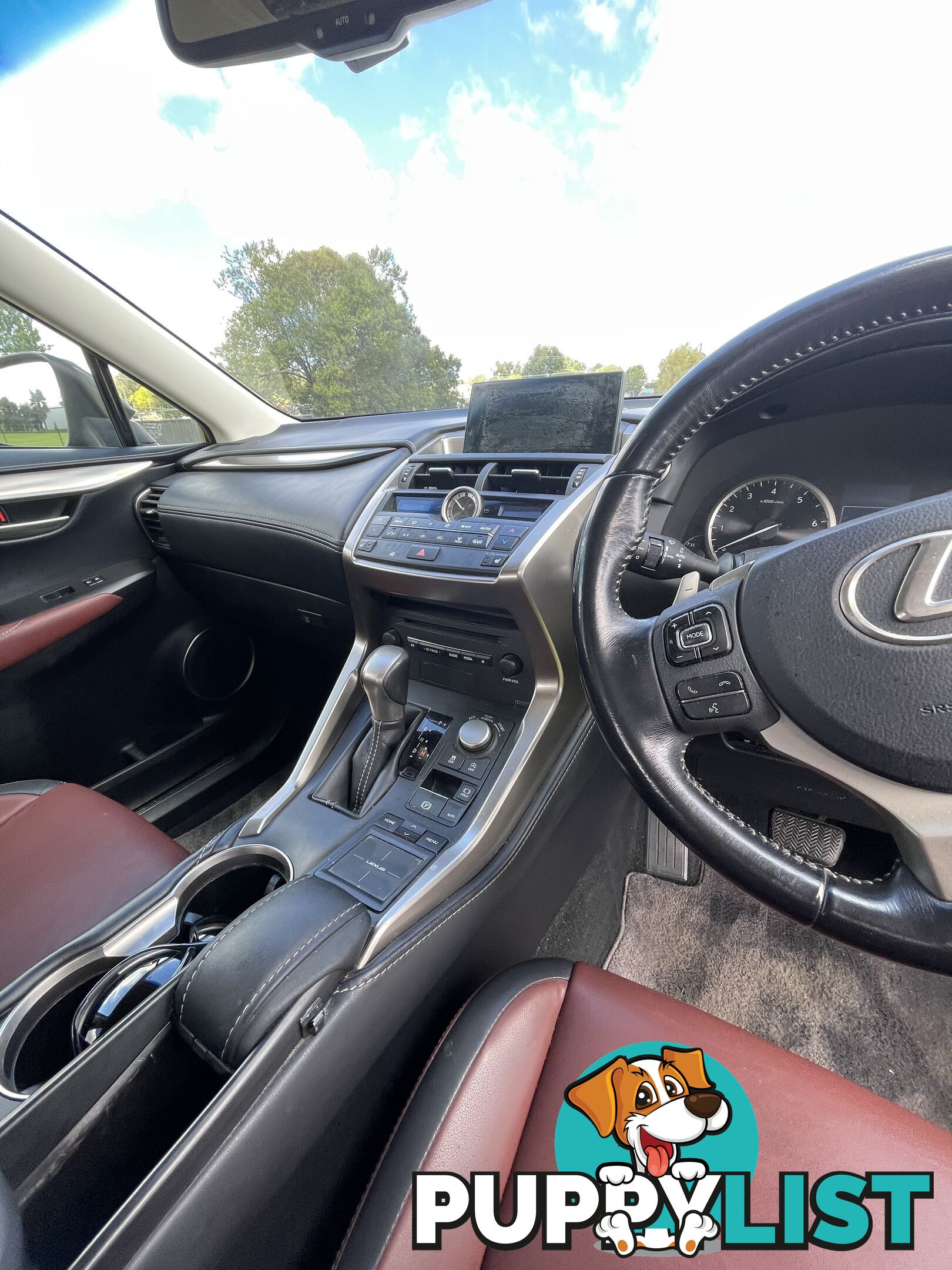 2016 Lexus NX AUTO2WD NX200T Sedan Automatic
