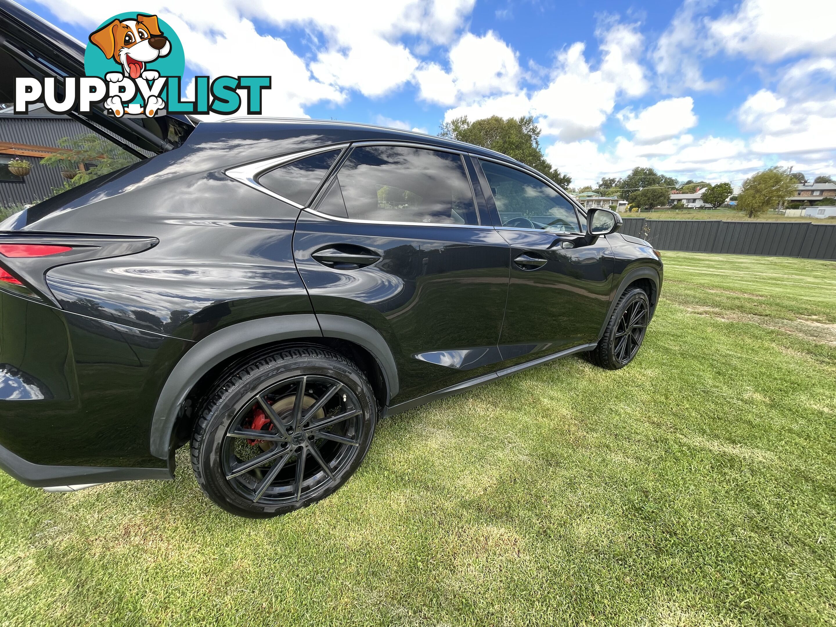 2016 Lexus NX AUTO2WD NX200T Sedan Automatic