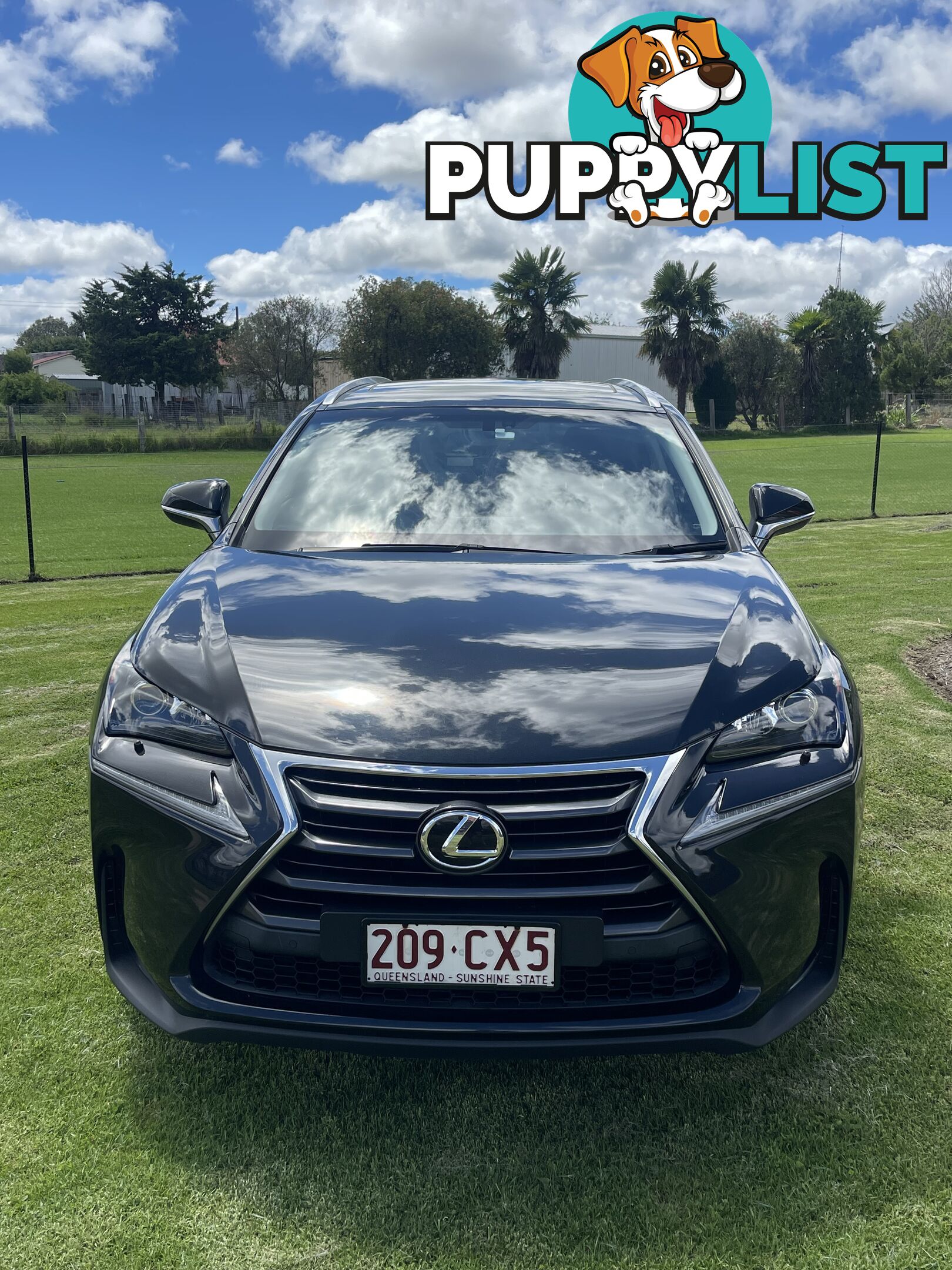 2016 Lexus NX AUTO2WD NX200T Sedan Automatic