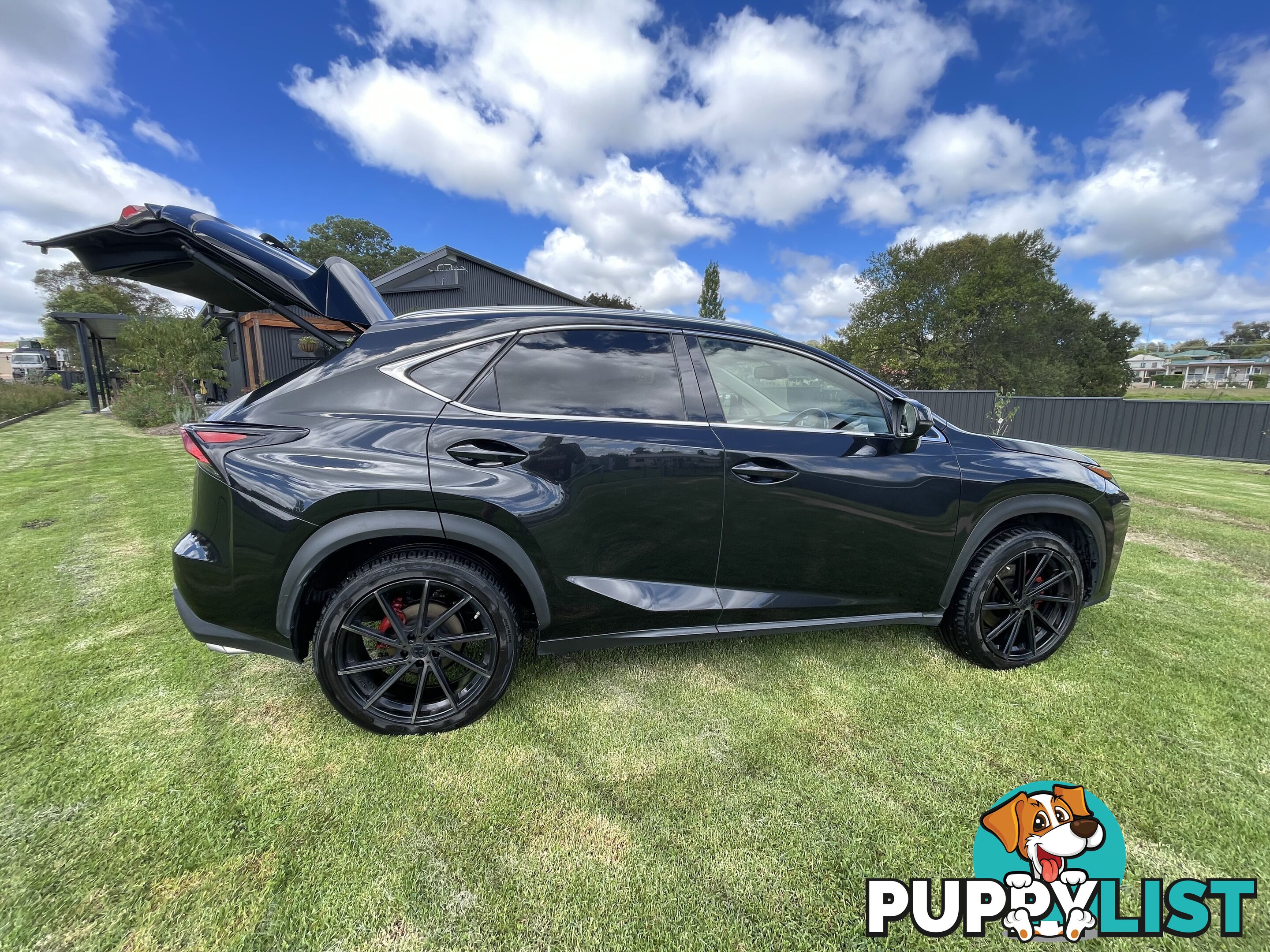 2016 Lexus NX AUTO2WD NX200T Sedan Automatic