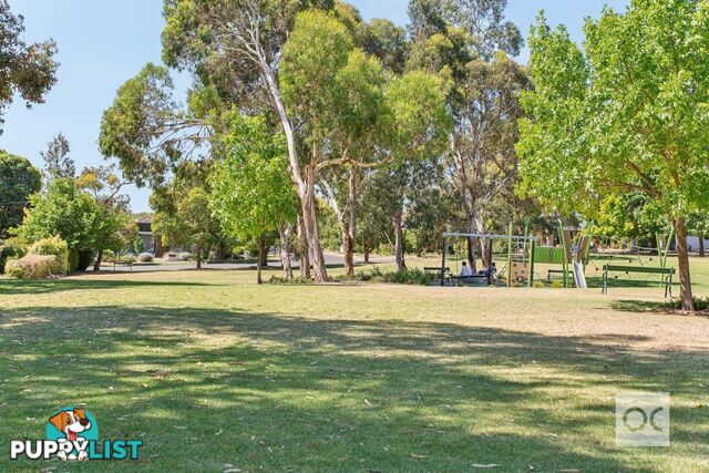 6 Riesling Crescent Wattle Park SA 5066