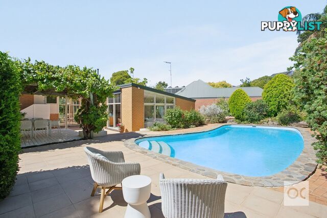 6 Riesling Crescent Wattle Park SA 5066