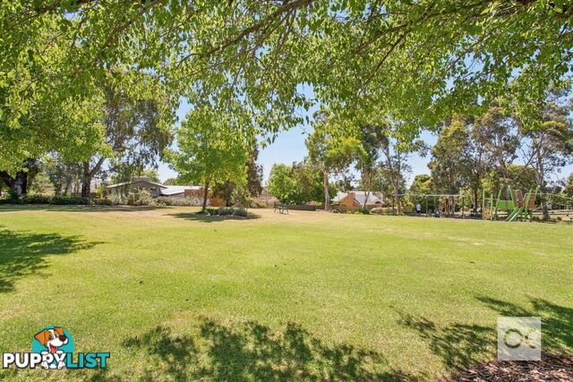 6 Riesling Crescent Wattle Park SA 5066