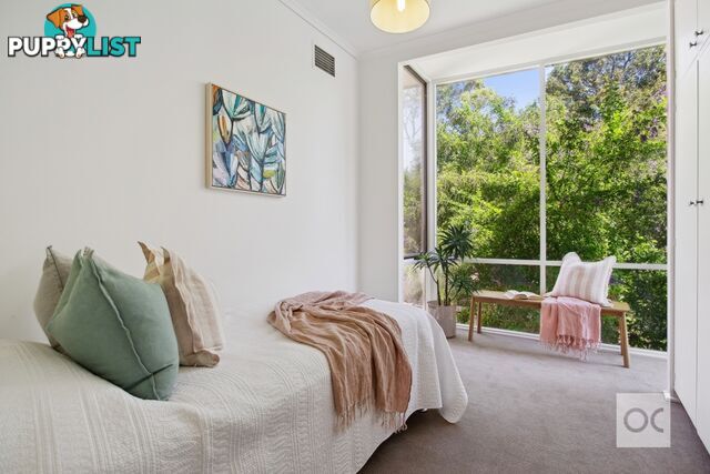 6 Riesling Crescent Wattle Park SA 5066