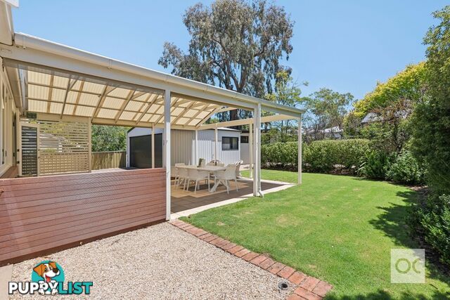 65 Constance Street Westbourne Park SA 5041